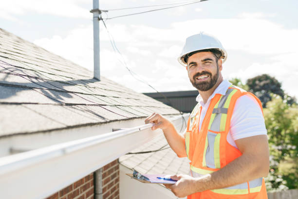 Best Roof Maintenance Services  in Morrice, MI