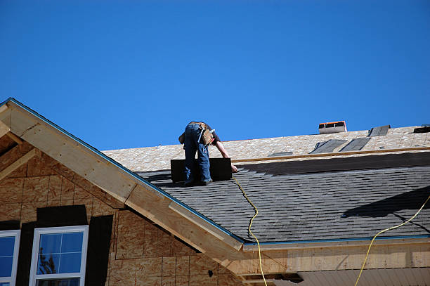 Best Affordable Roofing Company  in Morrice, MI
