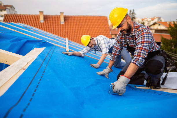Best Commercial Roofing Services  in Morrice, MI