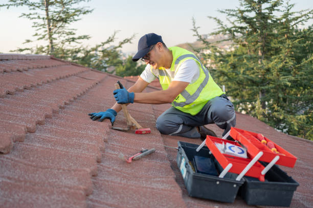 Best Best Roofing Contractors  in Morrice, MI