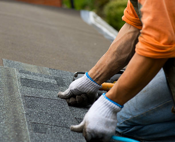 Best Roof Restoration Services  in Morrice, MI