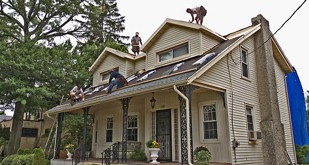 Best Local Roofing Companies  in Morrice, MI